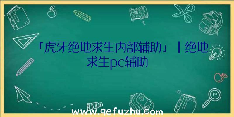 「虎牙绝地求生内部辅助」|绝地求生pc辅助